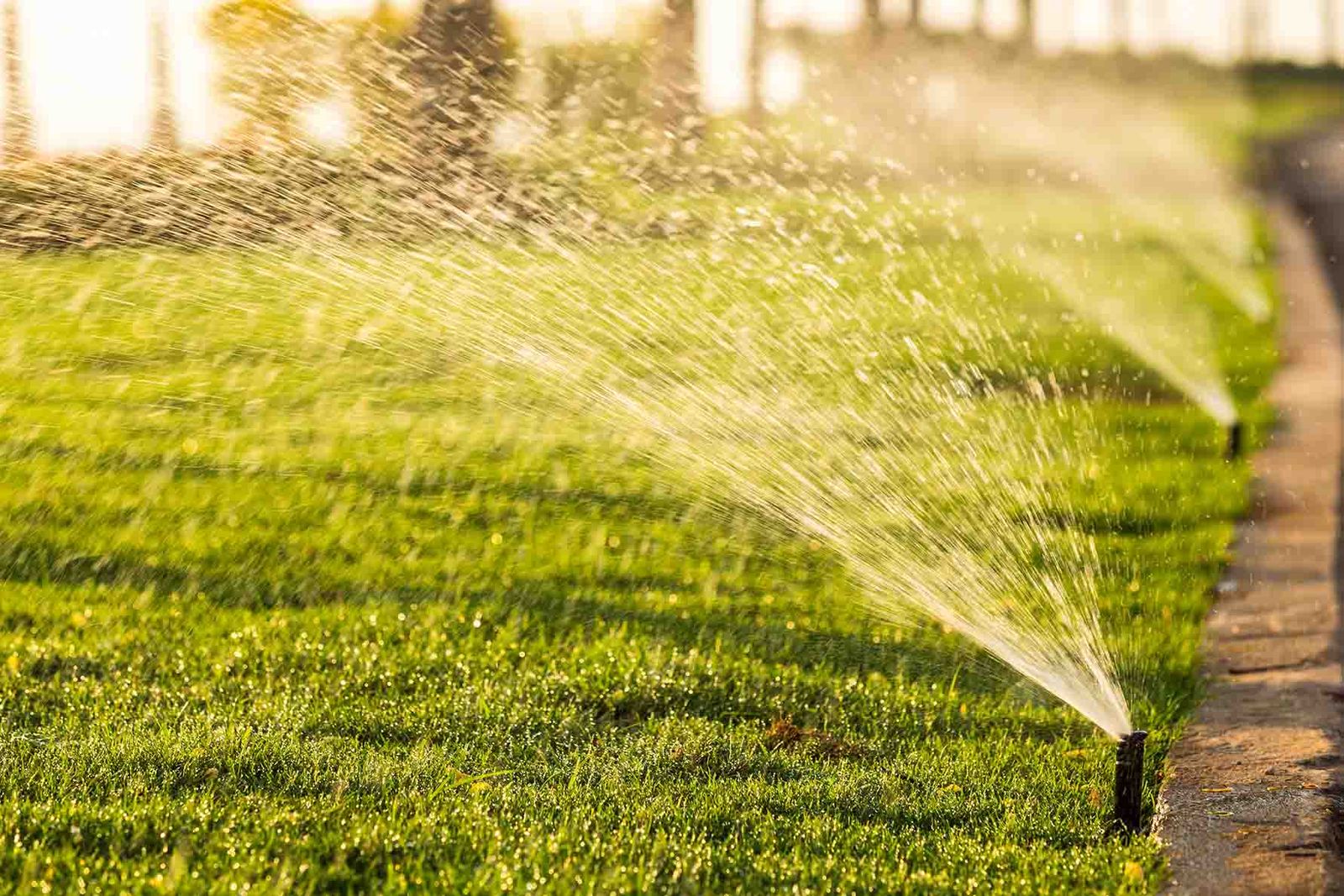 Sprinkler irrigation system watering a green lawn at sunrise in St. Tammany Parish