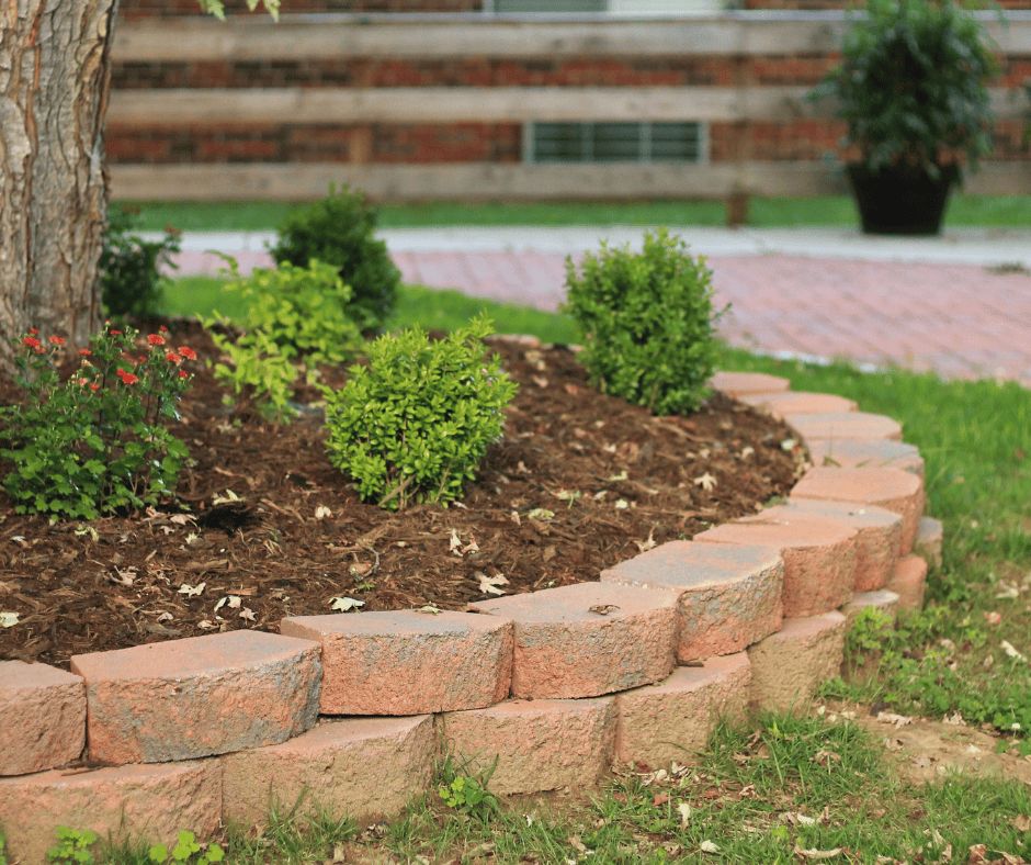 Mulched flower bed with brick paver edging around a tree and shrubs