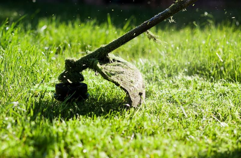 String trimmer edging grass along a lawn